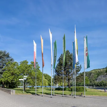 Panorama Rheinkrone Hotel 3*