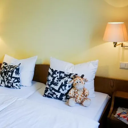 מלון Panorama Rheinkrone 3*