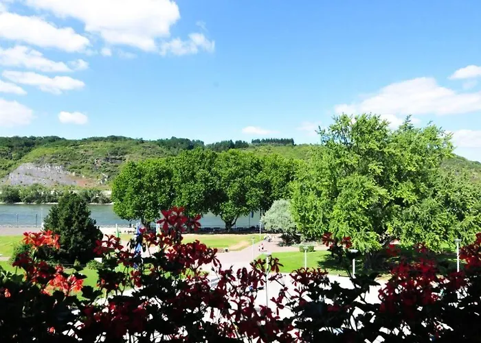 Hotel Panorama Rheinkrone 3*