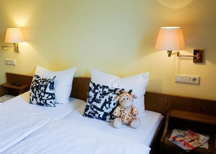 Hotel Panorama Rheinkrone 3*